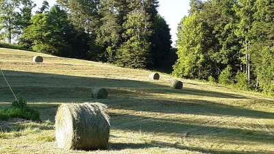 South facing pasture with round bales