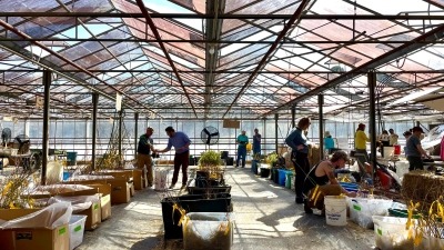 Long-term and Event Rentals in our Historical Dutch Glass Greenhouses