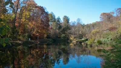 Our beautiful acre-wide pond and other resources for tenants to share 