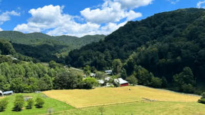 freshly mowed hay pasture