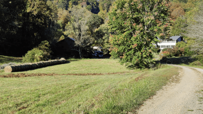 pasture and road