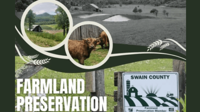 Featured on Swain Country NCRS website & Facebook page