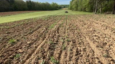 Tilled field