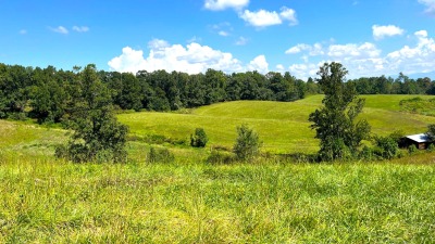 View across the property