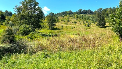 Looking up to the ridge