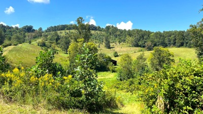 View up to the ridge
