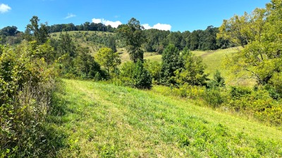 View of the rolling fields