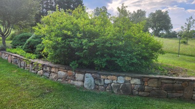 Wall bed by driveway