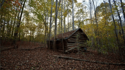 Tobacco shed