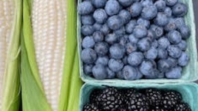 sweet corn in weekly sucession with blue and blackberries