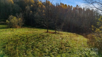 Lower Meadow