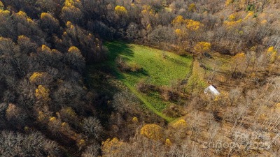 Middle Meadow
