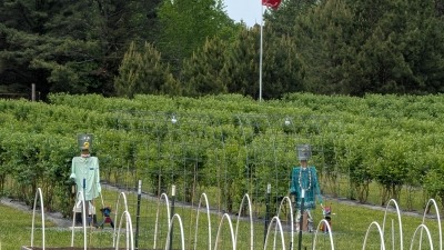 Flag Pole near Farm entrance driveway