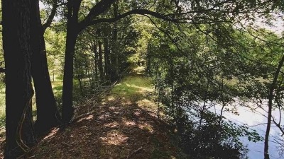 Pathway