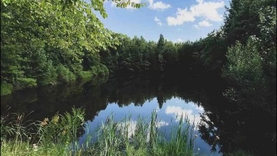 One of the ponds