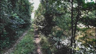 Pathway