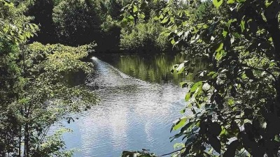 Pond