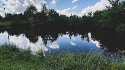 One of the ponds