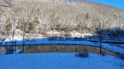pond in winter