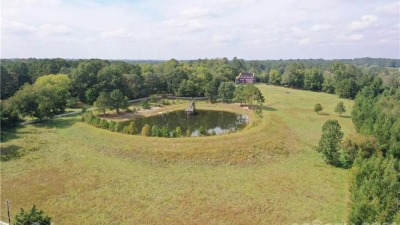 Pond