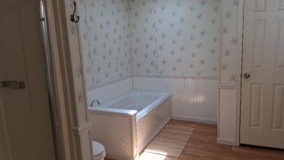 soaking tub and stand up shower