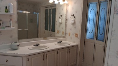 spacious vanity and cabinets
