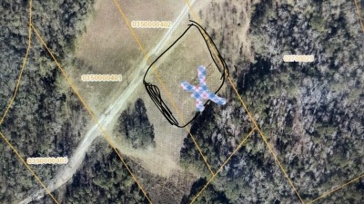Lots 3 and 4, New Ground Trail NE, Leland NC pic 1