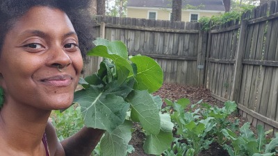 Our first honey harvest 