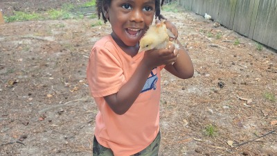 Our first honey harvest 