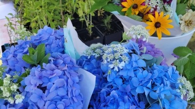 Market Bundles