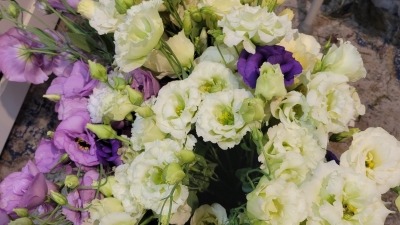 Ranunculus bouquets 