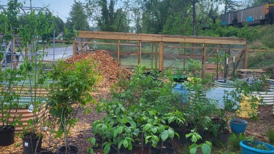Community gardening