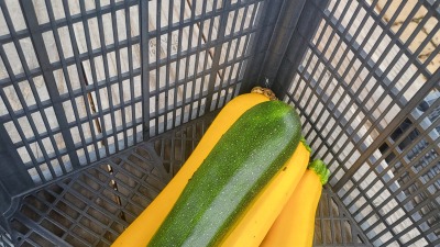 Community gardening