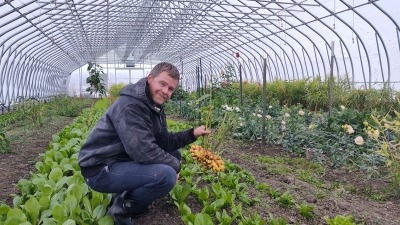 Greenhouse grown ginger root!! 