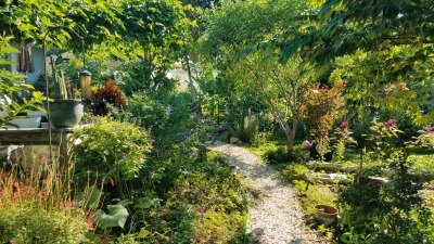 Backyard Edible Landscape 