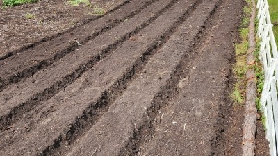 Initial Garden Setup 50 ft rows