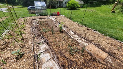 Home garden beginnings- back to eden method