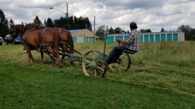 Mowing with the Suffolk mares on a John Deere #4 mower