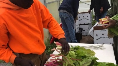 Preparing for market