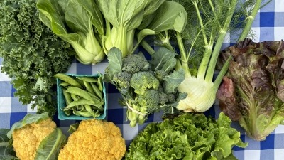 CSA share
