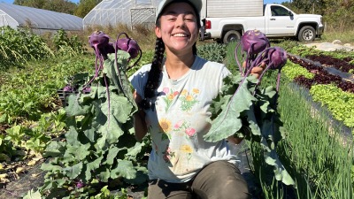 Antonia harvesting kohlrabi 