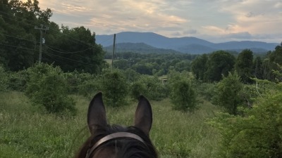 A beautiful view of the Blue Ridge Mountains from horseback