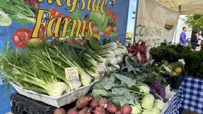 Farm market stand