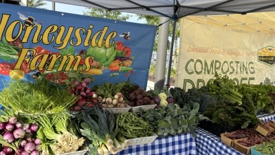 Farm market stand