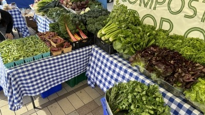 Farm market stand