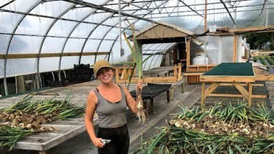 Trimming garlic