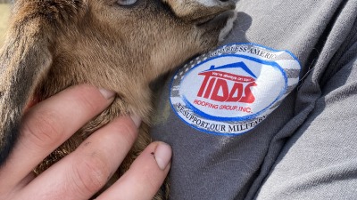 Billy-Jean is a blue eyed baby goat who loves snuggles (born 2026)