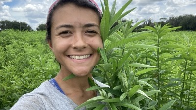 Sunn hemp cover crop selfie