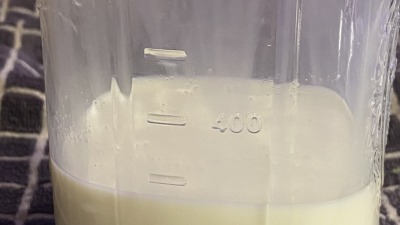 First attempts at milking went really well! We are only getting a few hundred ML for now, but we remain hopeful for future production!