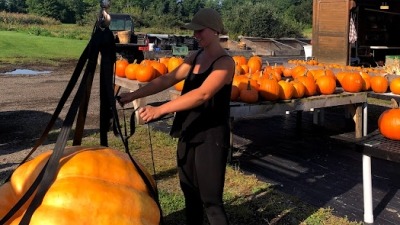 Weighing large pumpkin